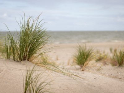 Marker Wadden